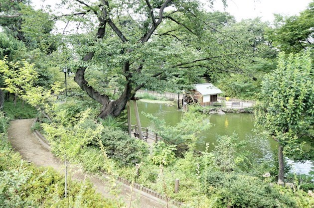 【募集終了】渋谷、眼前に鍋島松濤公園を眺めるSOHO